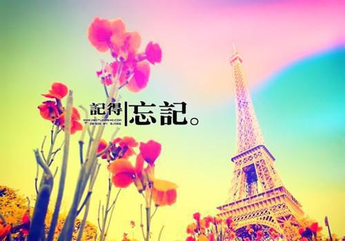 星光不渡忘川人：完结最新小说（乔晚霍言琛沈佳薇）全文阅读