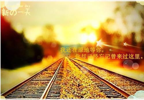 雪泥爪（苏棠赵锐）最终终章全书在线下载阅读无干扰