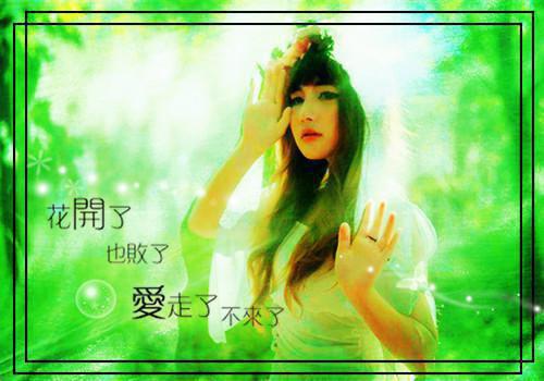 与你共赴朝暮：后续+必读最新章节列表_与你共赴朝暮：后续+必读全文免费阅读(宋南星霍砚深陆怀瑾)