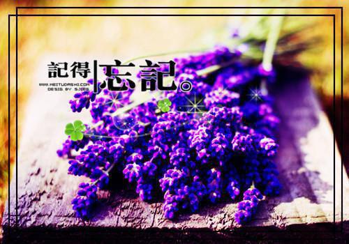 (番外)+(全文)浮灯灿烂一朝宝藏美文免费下载阅读_（梁明昭谢临风）浮灯灿烂一朝宝藏美文最新章节列表_笔趣阁（梁明昭谢临风）