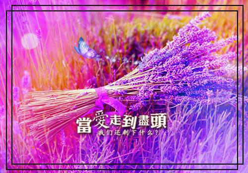 当我不再爱你：结局无广告TXT迟菱陆崇宴