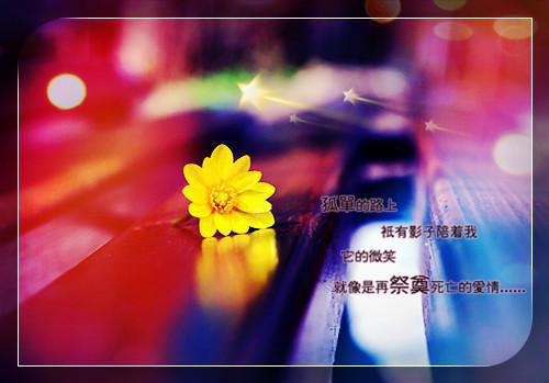 情似繁花渐落：结局+番外免费阅读无弹窗大结局_（傅晏明虞薇歌）情似繁花渐落：结局+番外最新章节列表_笔趣阁（傅晏明虞薇歌）
