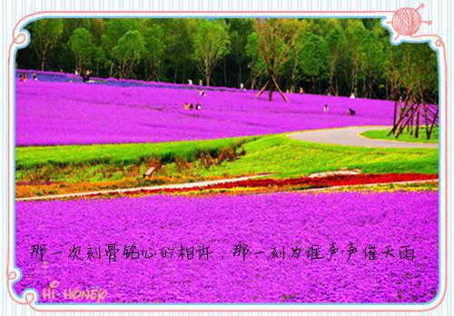 全文免费祁雾秦彻林瑶瑶沈枭涂药_祁雾秦彻林瑶瑶沈枭涂药全文免费