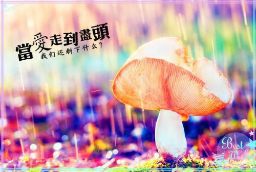 我在余晖深处等你：结局+番外,孟荆州林倾月全文免费我在余晖深处等你：结局+番外,孟荆州林倾月全文免费