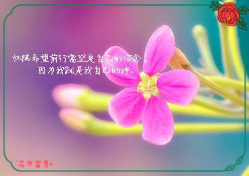 无端却被春风误：结局+番外+后续（孟南汐宋祁钰）全文浏览_无端却被春风误：结局+番外+后续全文浏览