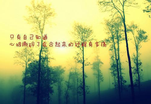 青黛赵铉离小说赵铉,凌云殿,向赵铉热门小说完结版阅读
