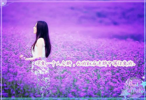 最新章节重生后绝不嫁给权臣完本：结局+番外高分完本（宁芙宗肆）_重生后绝不嫁给权臣完本：结局+番外高分完本宁芙宗肆最新章节