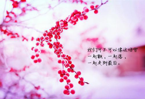 景若曦叶祁完结版在线阅读_景若曦叶祁免费阅读全文最新章节列表_景若曦叶祁全集免费阅读_景若曦叶祁全文免费阅读无弹窗大结局