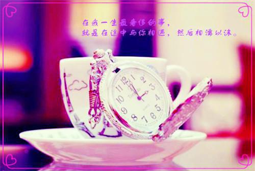 （颜以溪贺宴辞）且停且忘且随风：+后续精选作品之一在线阅读最近更新