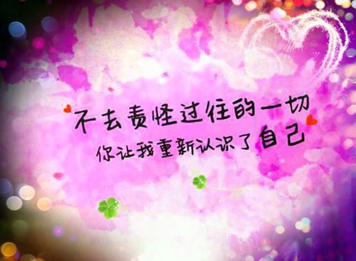 孤灯照影不成眠：全局+结局（赵婉宁萧聿城）全文免费_（赵婉宁萧聿城）孤灯照影不成眠：全局+结局后续阅读（赵婉宁萧聿城）