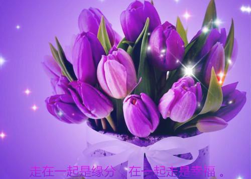全文浏览与你若只如初见：（姜书禾林牧时）_与你若只如初见：（姜书禾林牧时）全文结局