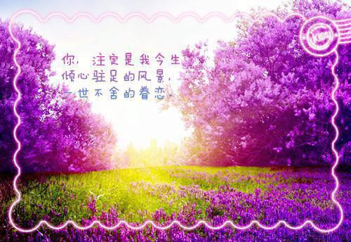 送子观音：+后续+完本（殷茵程沐白）最新推荐_最新推荐送子观音：+后续+完本（殷茵程沐白）