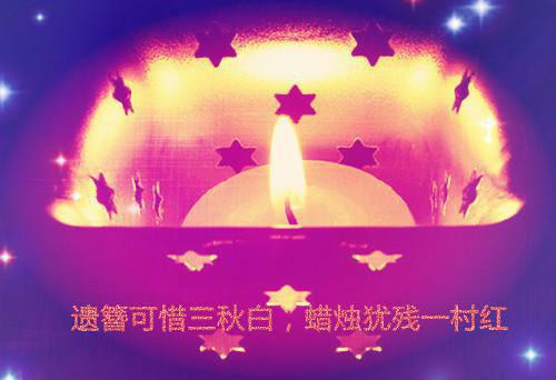 向来如梦佳期：+番外（宋晚情傅司寒）最新推荐_最新推荐向来如梦佳期：+番外（宋晚情傅司寒）