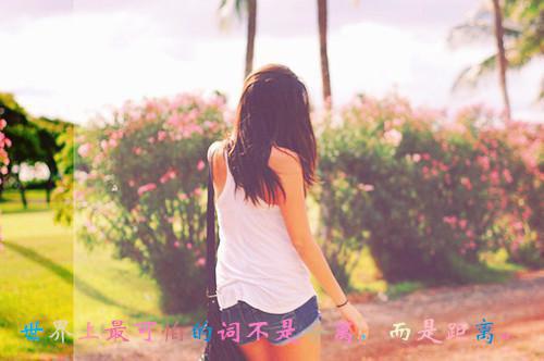 苔藓爬满旧日诺言：在线全文小说顾砚廷慕晚夏小说在线阅读