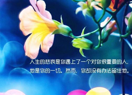 最新章节超甜！他被小太阳女友救赎了（宋衾苒陆铖禾）_超甜！他被小太阳女友救赎了宋衾苒陆铖禾最新章节