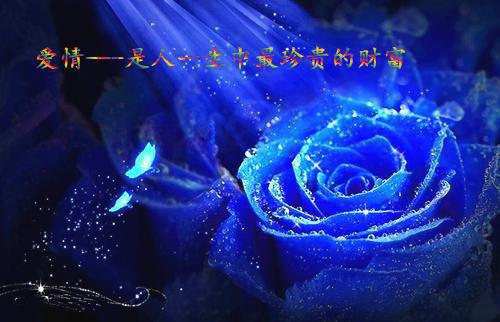 (番外)+(全文)沈煜谢晚烟：精品选集txt下载阅读_(沈煜谢晚烟)沈煜谢晚烟：精品选集免费阅读全文最新章节列表_笔趣阁（沈煜谢晚烟）