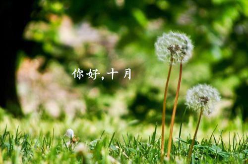 经典荡气回肠权力巅峰:从救下小女孩开始优秀完整版小说_经典荡气回肠权力巅峰:从救下小女孩开始优秀全文免费阅读