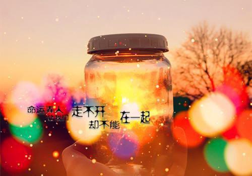 内容精选平安夜我卖苹果，却看到女友在卖身白乔路晟 免费已完结_内容精选平安夜我卖苹果，却看到女友在卖身白乔路晟 免费最新章节
