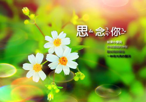 轻弹一首别离：结局+番外高分言情全文小说梁慕白苏洛小说在线阅读