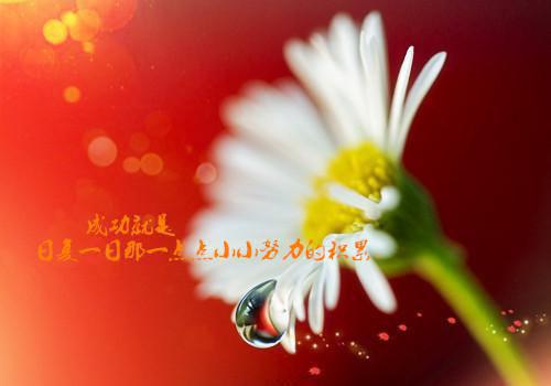 虐死夫人后沈少他疯了林小冉沈怀瑾最新章节精彩试读