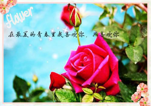 爱随光降临(温郁褚泽谦周逸)全章无套路阅读纯净版小说大结