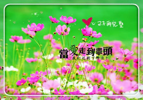 苏枕月傅九卿完结版在线阅读_苏枕月傅九卿免费阅读全文最新章节列表_苏枕月傅九卿全集免费阅读_苏枕月傅九卿全文免费阅读无弹窗大结局