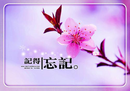 咬了一口弟弟雪糕，被他女友狂造黄谣：内容精选（郑倩）最新章节_咬了一口弟弟雪糕，被他女友狂造黄谣：内容精选全文阅读