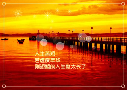 (番外)+(全文)曾把深情寄明月全文赏析全文免费阅读无弹窗大结局_曾把深情寄明月全文赏析最新章节列表_笔趣阁