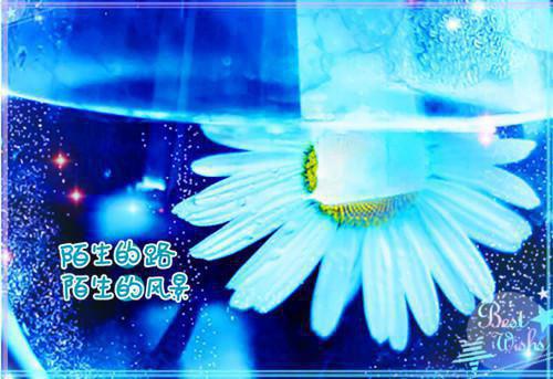 最新章节一枕清梦压星河：结局+番外榜单（林清梦沈星河）_一枕清梦压星河：结局+番外榜单林清梦沈星河最新章节