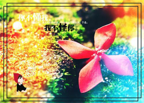 最新章节重生后九爷他甘愿当工具人：结局+番外必读爽文（孟明萱严漠九）_重生后九爷他甘愿当工具人：结局+番外必读爽文孟明萱严漠九最新章节
