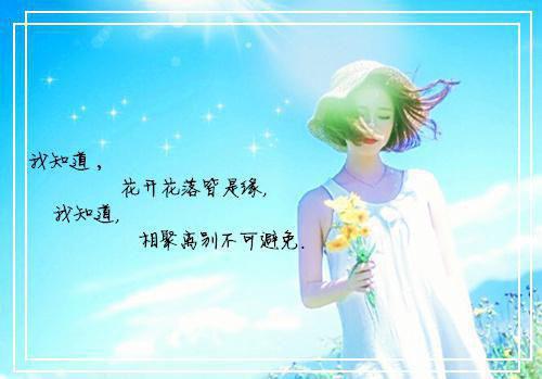最新章节玫瑰秘密：后续+结局（郁梨贺淮川）_玫瑰秘密：后续+结局郁梨贺淮川最新章节