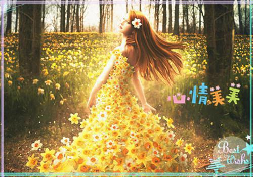 人面桃花长相忆阮雾梨闻砚辞：精选阮雾梨闻砚辞一口气看完_书荒时期必读情感力作阮雾梨闻砚辞《人面桃花长相忆阮雾梨闻砚辞：精选》