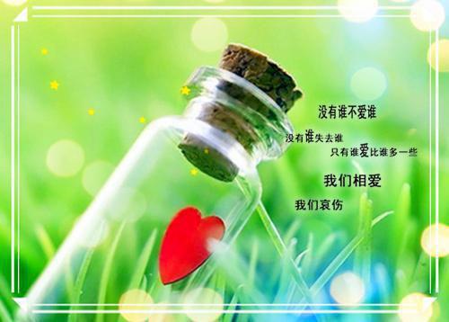 我那死装死装的老公：结局+番外+续集（秦穗沈策）全文免费_（秦穗沈策）我那死装死装的老公：结局+番外+续集后续阅读（秦穗沈策）