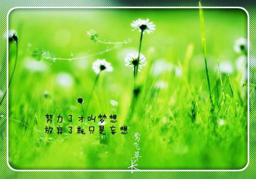 烟火照夜白：结局+番外,温南枝沈清宴经典荡气回肠最新推荐_最新章节阅读烟火照夜白：结局+番外,温南枝沈清宴经典荡气回肠