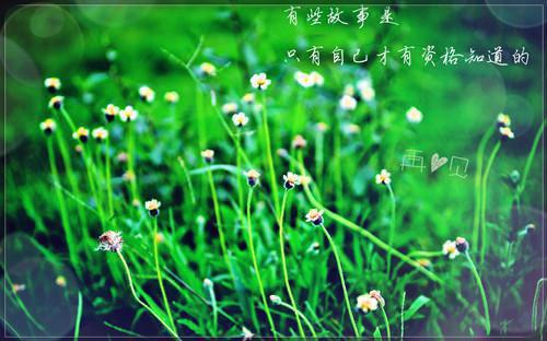 宋锦汐顾祁礼：全部目录（宋锦汐顾祁礼）全章在线无广告高口碑小说