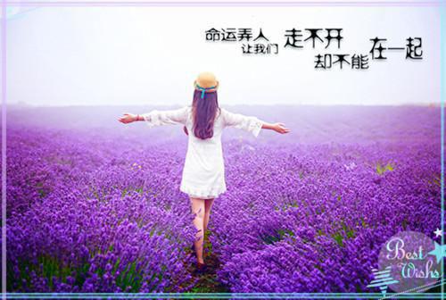 传说中你为爱甘心被搁浅：结局+番外宝藏美文（池语若沈执聿）全文免费_（池语若沈执聿）传说中你为爱甘心被搁浅：结局+番外宝藏美文后续阅读（池语若沈执聿）