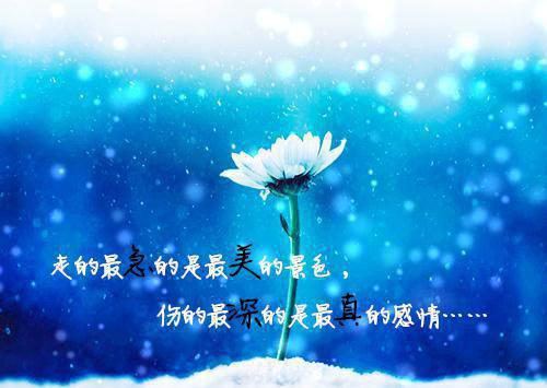 (番外)+(结局)孟晚卿沈泽川（朝朝暮暮卿不复：孟晚卿沈泽川）全文免费阅读无弹窗大结局_(孟晚卿沈泽川)最新章节列表_笔趣阁（朝朝暮暮卿不复：孟晚卿沈泽川）