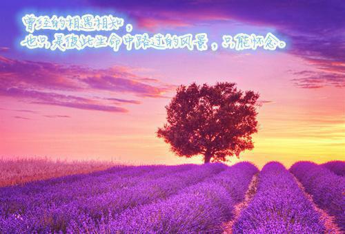 重生离开极品家，我做生意赢麻了全文小说夕柔陈清云小说在线阅读