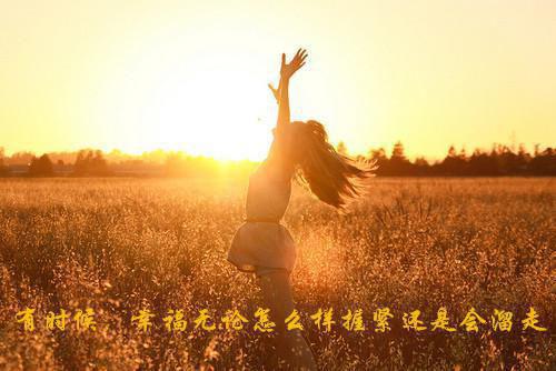 我在桥整本阅读（苍溟,青梧,孟婆）