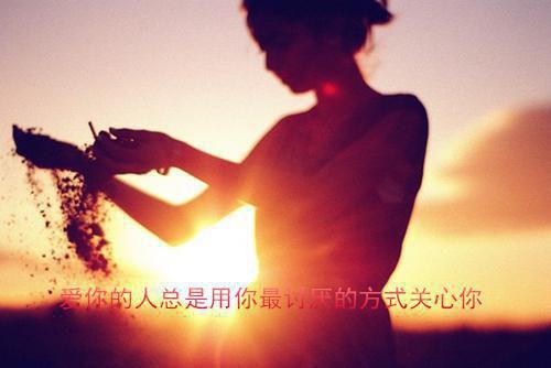 重生新手村，我拿下独一份顶级机缘完整文集阅读全文阅读_沈清任逍遥小说免费阅读