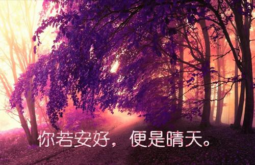 前尘皆散，爱恨尽逝最新小说（顾临渊江云潇）全文阅读