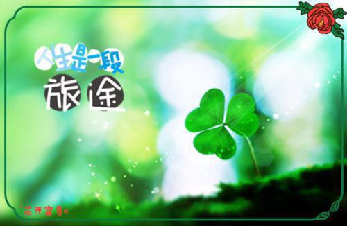 消耗爱意最新章节列表_消耗爱意全文免费阅读(江阔苏暖李娇)