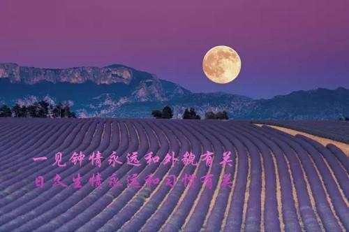 小说后续全文 沈荞宋源：结局+番外评价五颗星小说后续全文沈荞宋源完整版在线阅读_沈荞宋源（沈荞宋源：结局+番外评价五颗星）完结阅读无弹窗大结局