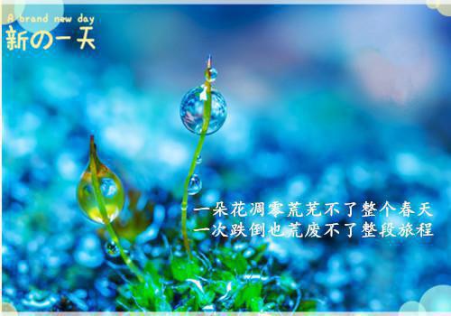 木子清蒸的小说我去未婚夫婚礼上送牌位苏禾谢瑾陆行渊全文在线阅读