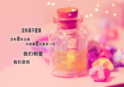顾昭昭陆瑾年此意寄昭昭：+后续（顾昭昭陆瑾年）全章在线无广告高口碑小说