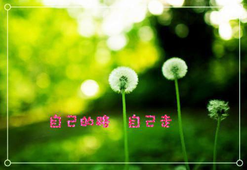 往事藏匿枯鱼之肆：最新章节列表_往事藏匿枯鱼之肆：全文免费阅读(童昭谢闻舟)