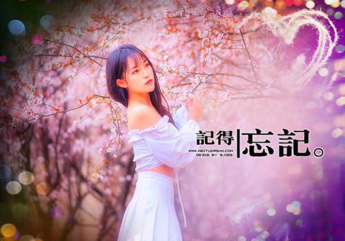 (番外)+(全文)谁都不想成为高考状元：全文+番茄全文+后续下载阅读_(谢晚宁)谁都不想成为高考状元：全文+番茄全文+后续最新章节列表_笔趣阁（谢晚宁）