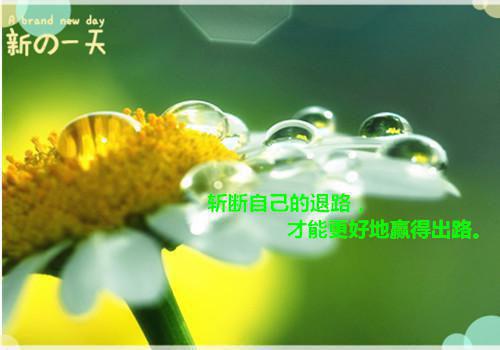 战狼崛起榜单（罗铮吴凯）最新推荐_最新推荐战狼崛起榜单（罗铮吴凯）