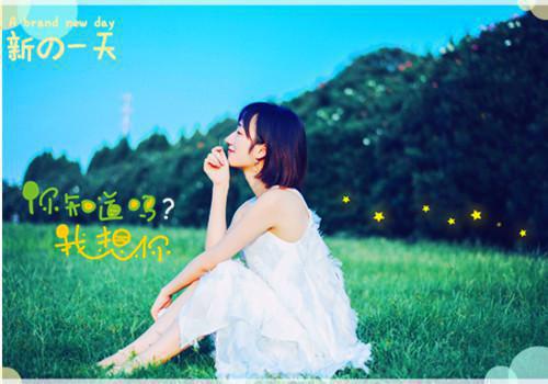 何以入君心：免费整本阅读（乔青蕴傅时宴）
