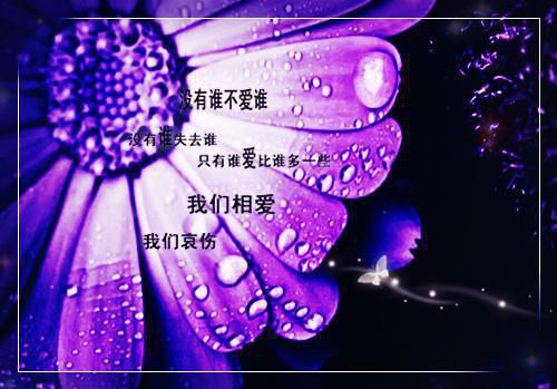 (番外)+(全文)许暖月梁彻（情网中的挣扎与救赎：结局+番外）全文免费阅读无弹窗大结局_许暖月梁彻最新章节列表_笔趣阁（情网中的挣扎与救赎：结局+番外）